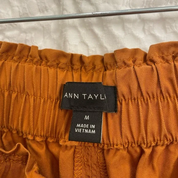 Ann Taylor Size M midi skirt. Burnt Orange. - Picture 4 of 4